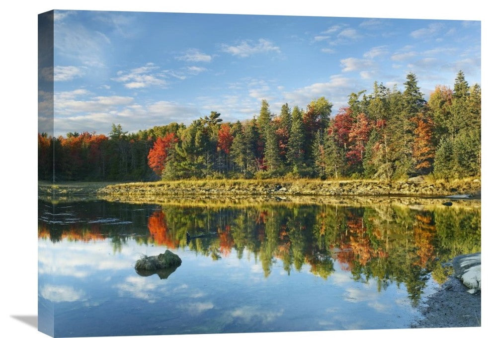 "Coastline, Mount Desert Island, Maine" Canvas Giclee by Tim Fitzharris, 24"x18"