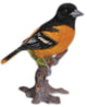 Realistic Oriole Bird Garden Statue, 7"