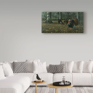 Wilhelm Goebel 'The Suitor Wild Turkeys' Canvas Art, 47"x24"