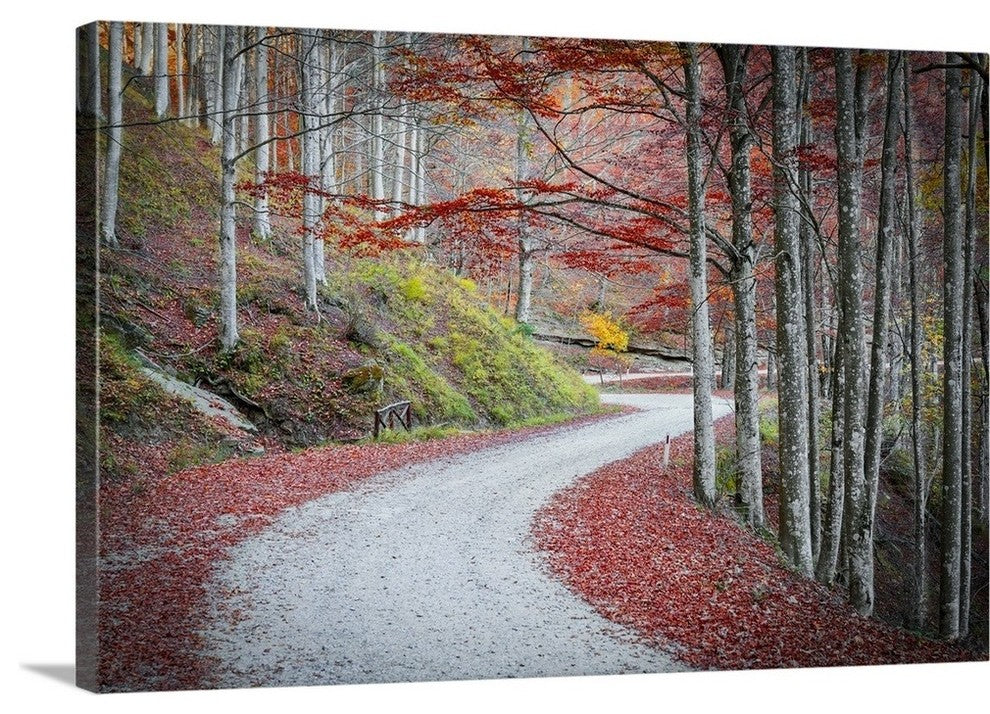"Tuscany forest" Wrapped Canvas Art Print, 48"x32"x1.5"