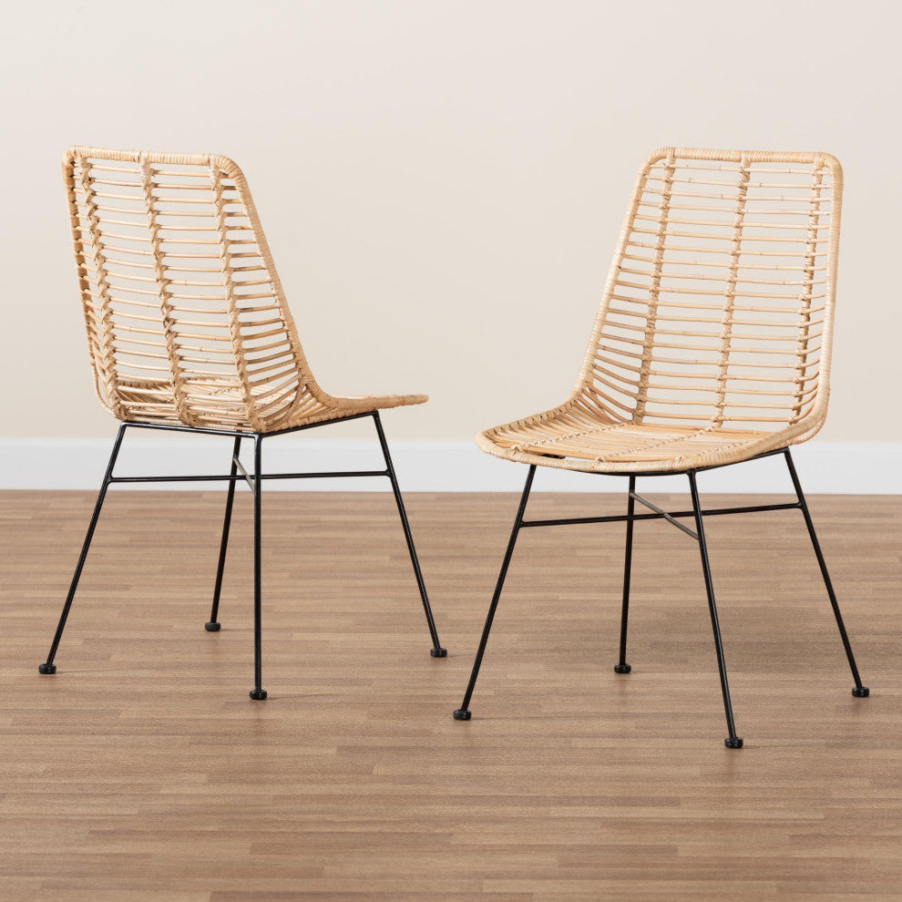 Rosalin Rattan and Metal Dining Chairs, Set of 2