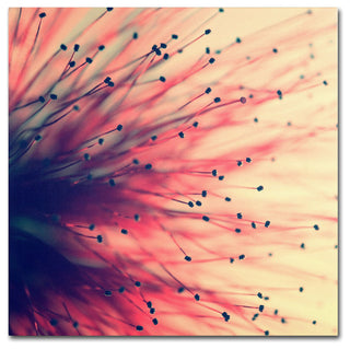 'Into the Future' Canvas Art by Beata Czyzowska Young