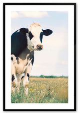 Satin Black 16" x 20" A Monochrome Encounter Framed Print