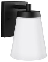Renville 1-Light Outdoor Wall Lantern, Black