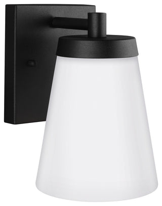 Renville 1-Light Outdoor Wall Lantern, Black