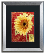 Color Bakery 'Ete Lady Bug' Matted Framed Art, Silver Frame, Black Mat, 16x20