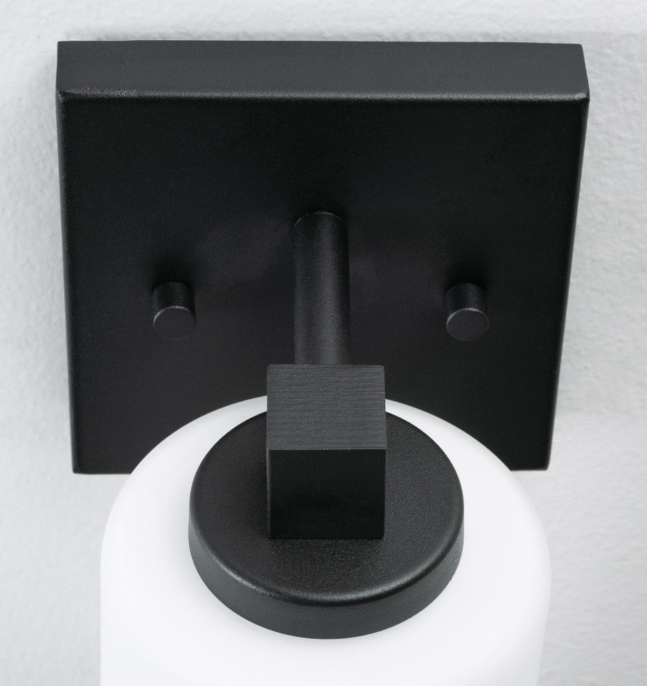 Leo 1-Light Sconce, Clear Glass Shade, Black Finish