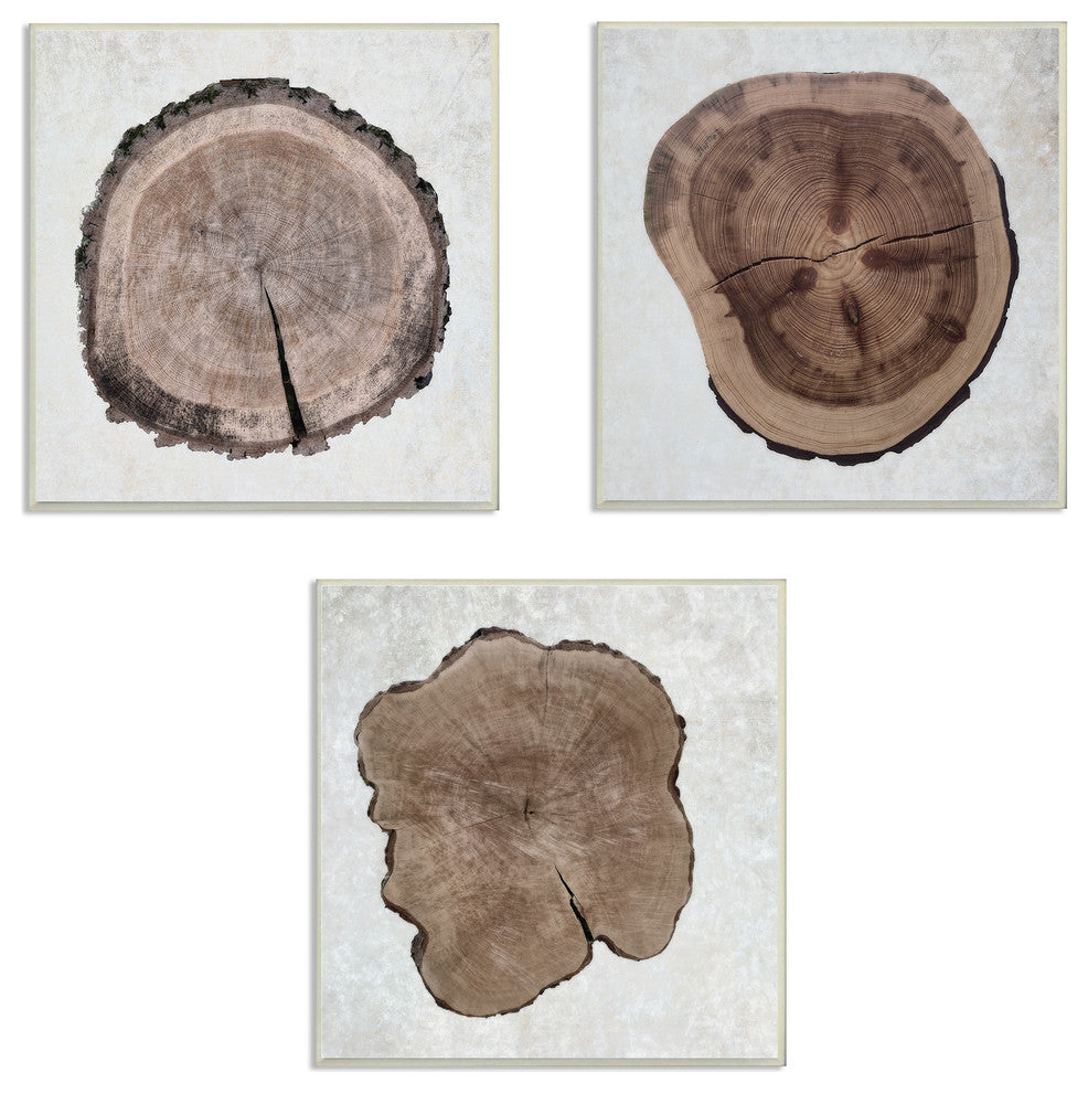 Tree Ring Cross Section Triptych Wall Plaque Art Set, 12x12