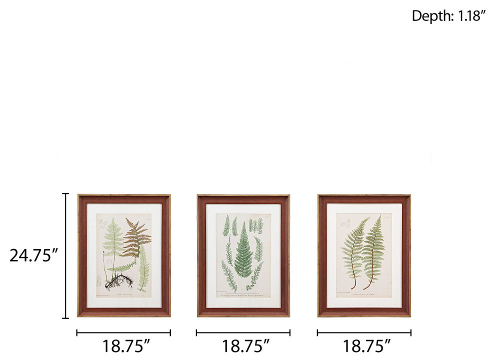 Madison Park Lady Fern Collection Single Mat Framed Graphic 3 Piece Set