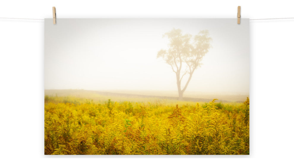 Dreams of Goldenrod and Fog Landscape Photo Unframed Wall Art Print, 18" X 24"