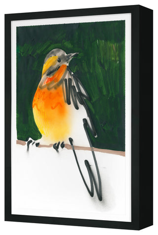 American Robin Fine Art Print, Black, 30"x20"