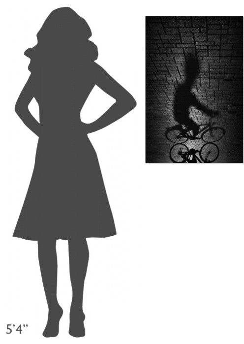 "Shadow Bike" Stretched Canvas Giclee by Antonio Grambone, 20x30"