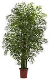 7.5' Areca Palm Tree UV Resistant, Indoor/Outdoor, Green