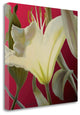"Lily Red" By Jan Mclaughlin, Giclee Print on Gallery Wrap Canvas, Ready to Hang