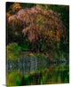 "Fall Reflection" Wrapped Canvas Art Print, 20"x24"x1.5"
