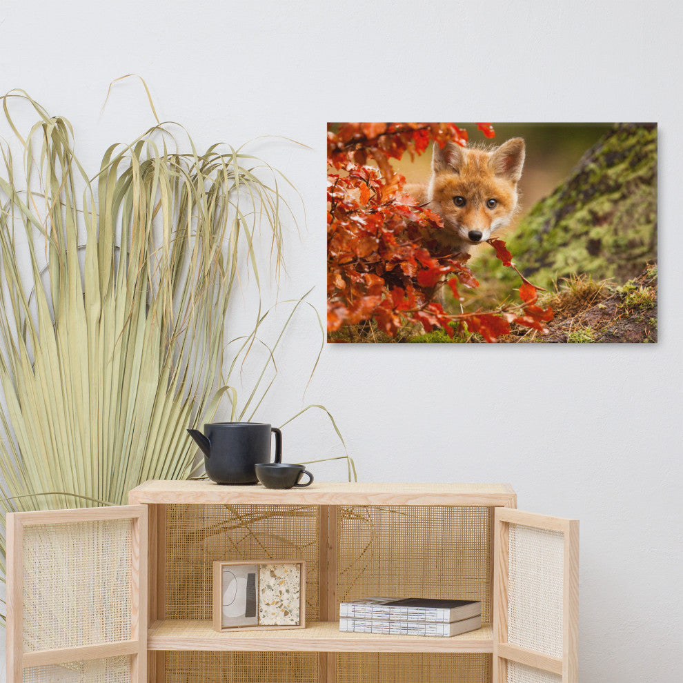 Baby Red Fox Face and Autumn Leaves - Forest Wildlife Photo Canvas Art Print, 24" X 36"