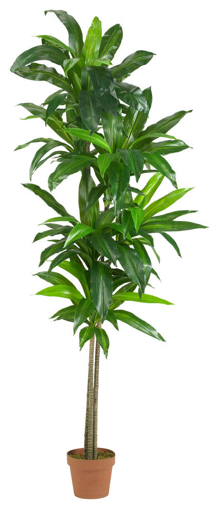 6' Dracaena Silk Plant, Real Touch