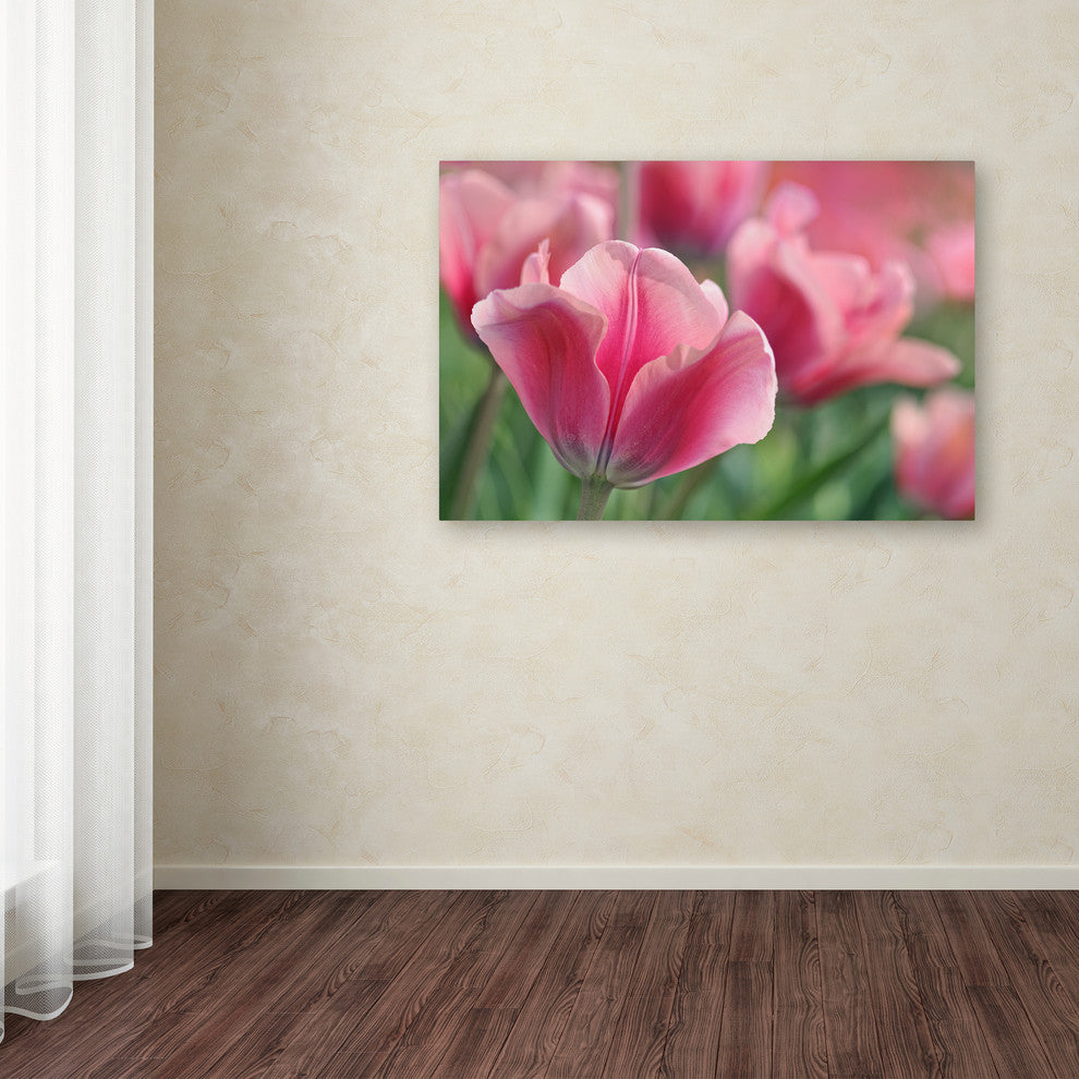 Cora Niele ''Tulip Mirella Pink'' Canvas Art