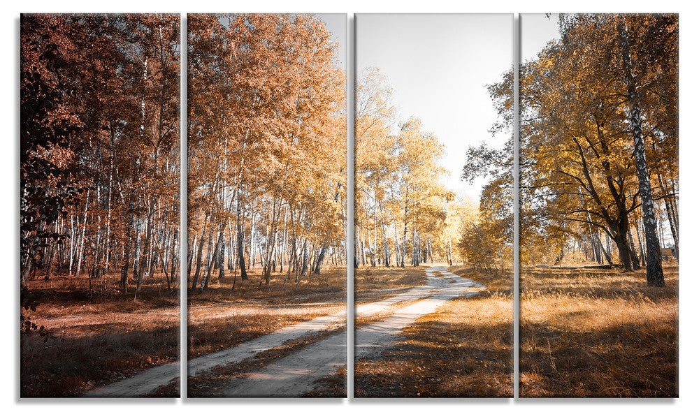 Straight Road in Fall Birch Grove, Modern Forest Canvas Art, 48"x28", 4 Panels