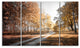 Straight Road in Fall Birch Grove, Modern Forest Canvas Art, 48"x28", 4 Panels