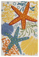 6 x 9' Multicolor Indoor Outdoor Area Rug