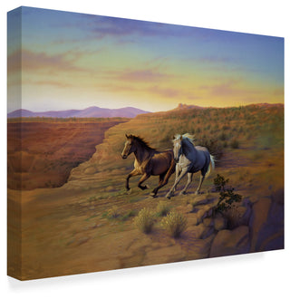Kirk Reinert 'Western Skies' Canvas Art, 47"x35"