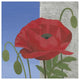 "Poppy" Digital Paper Print by Kathrine Lovell, 38"x38"