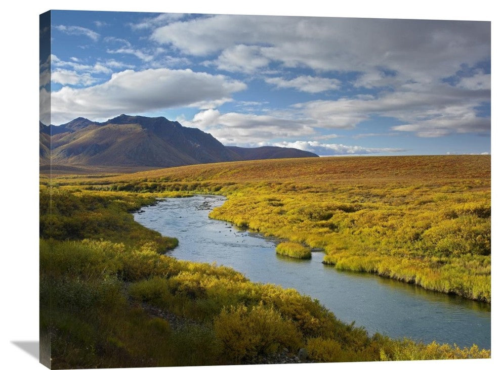 "North Klondike River, The Ogilvie Mountains, Yukon Territory, Canada" Artwork
