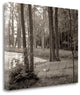"Banc De Jardin - 84" By Alan Blaustein, Giclee Print on Gallery Wrap Canvas