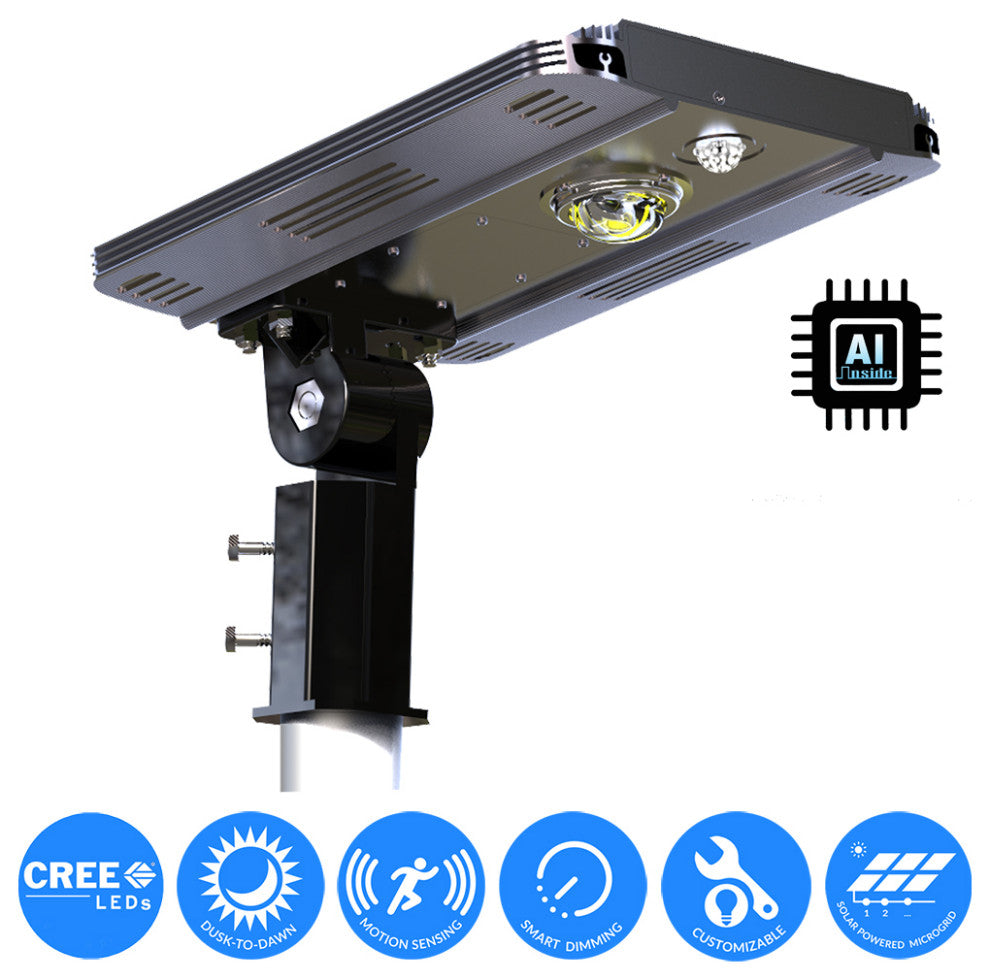 EE800W-AI 5th Gen Solar Hybrid Microgrid LED Street Light Series, 10 Watt