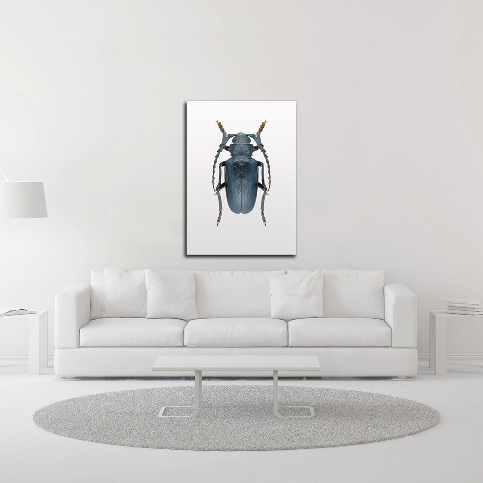 Beetle 3 by Design Fabrikken, Print on Canvas, 25"x35"