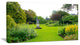 Plant and Flowers in Garden, Landscape Canvas Art Print, 40x20