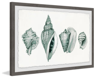 "Four Shells" Framed Painting Print, 24"x16"