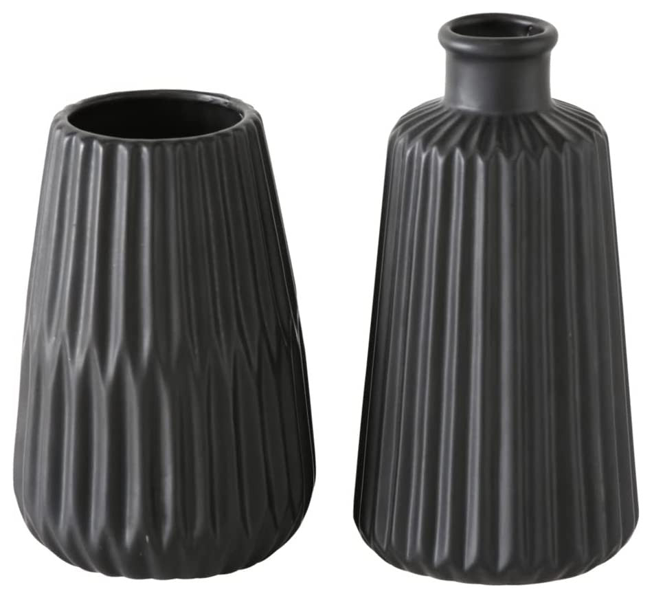 2 Piece Iconic Scandi Vases