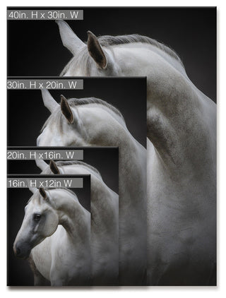 Ready2HangArt 'Maggie' Wrapped Canvas Wall Decor, 30"x40"