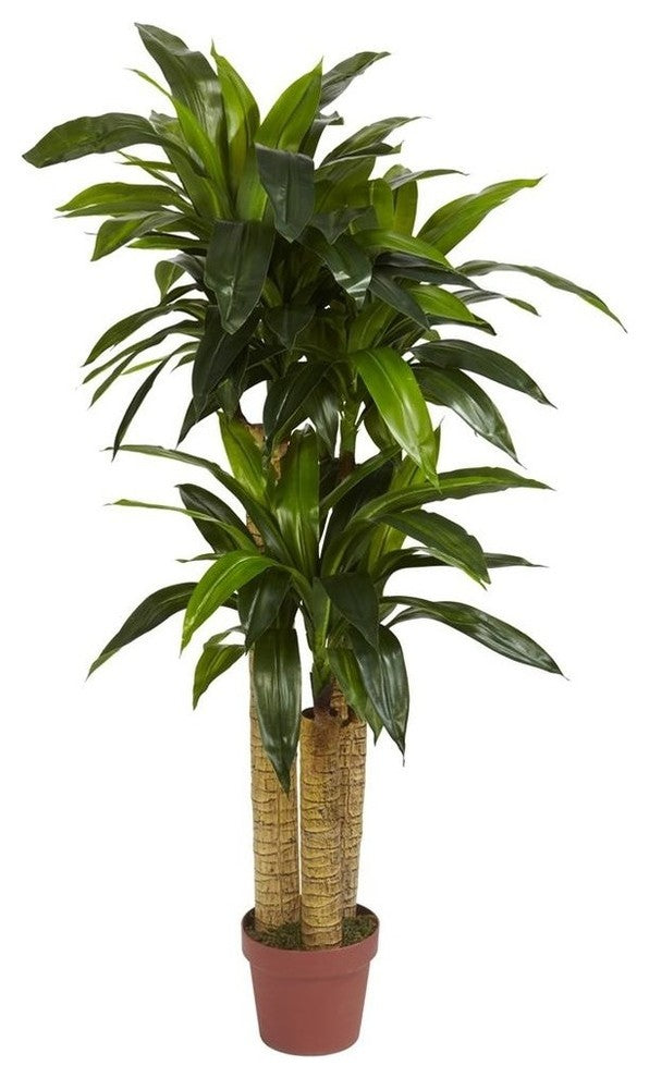 4' Corn Stalk Dracaena Silk Plant, Real Touch