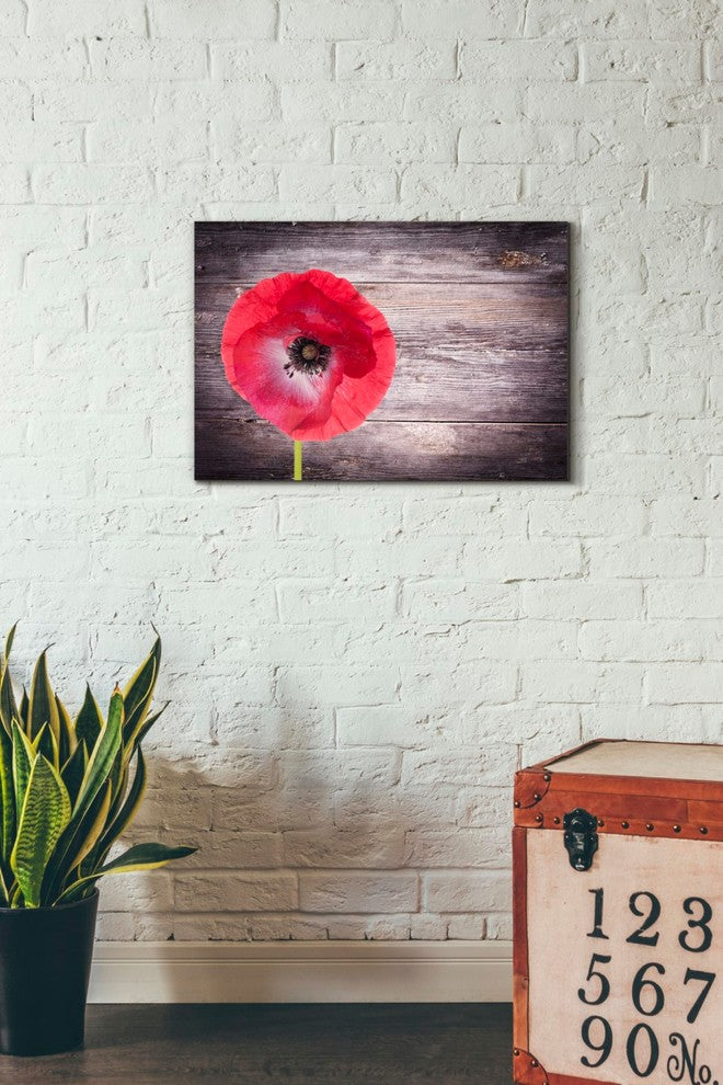 Epic Graffiti "Luxury On Rustic" Giclee Canvas Wall Art, 26"x18"