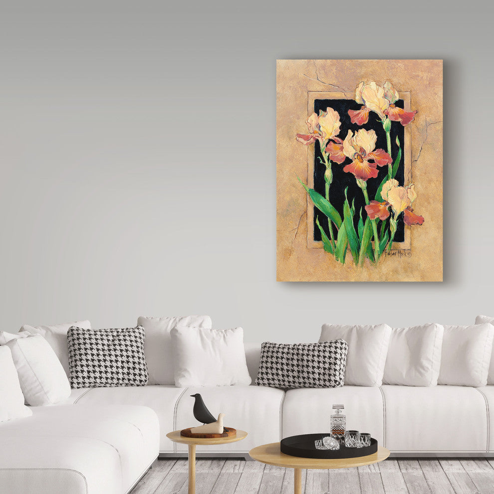 Barbara Mock '' Framed Iris'' Canvas Art