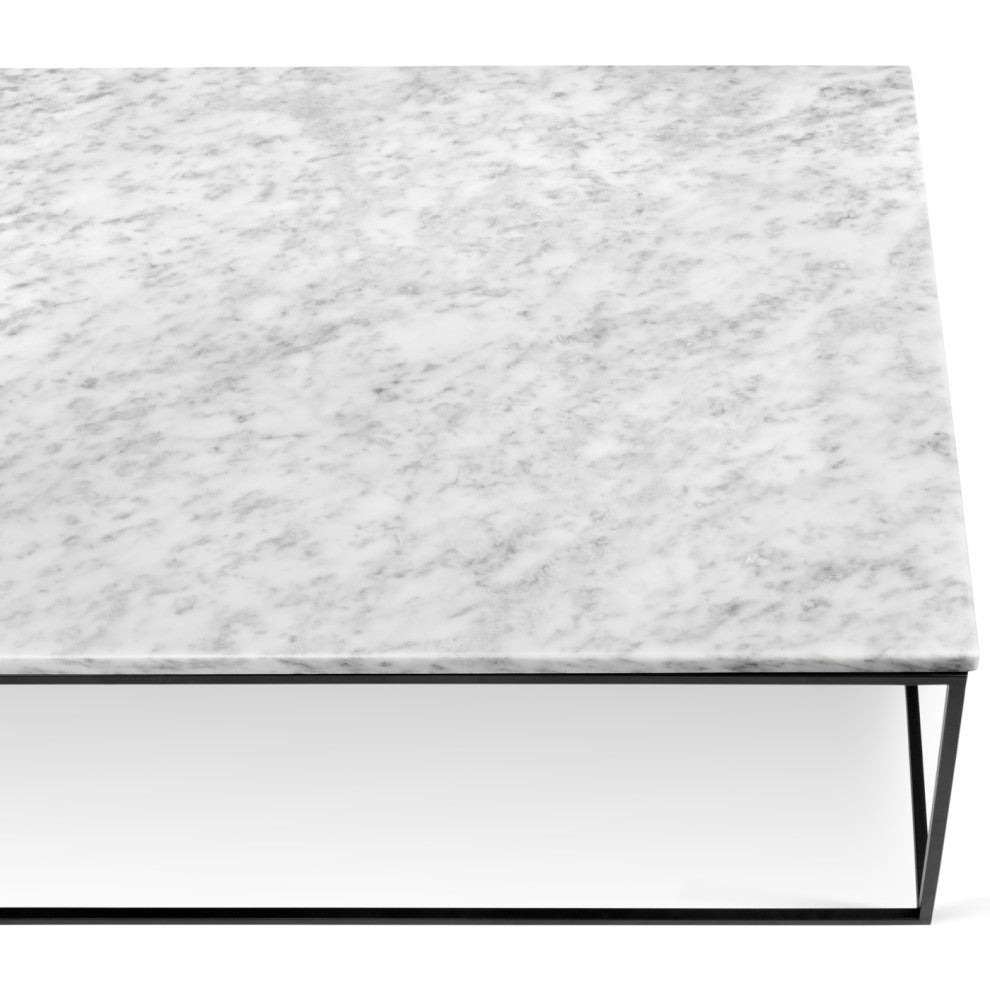Modern Metal Rectangle Marble Top Coffee Table, White Marble/Black Base