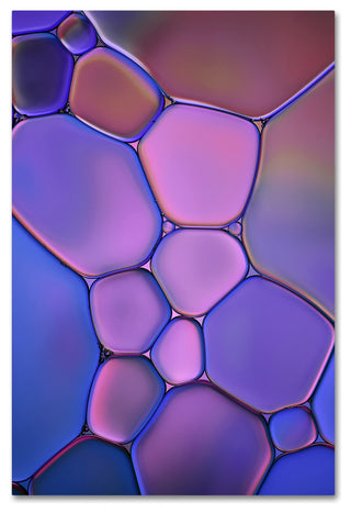 Cora Niele 'Purple Stained Glass' Canvas Art