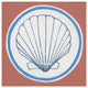 "Summer Shells II" Digital Paper Print by Kathrine Lovell, 20"x20"