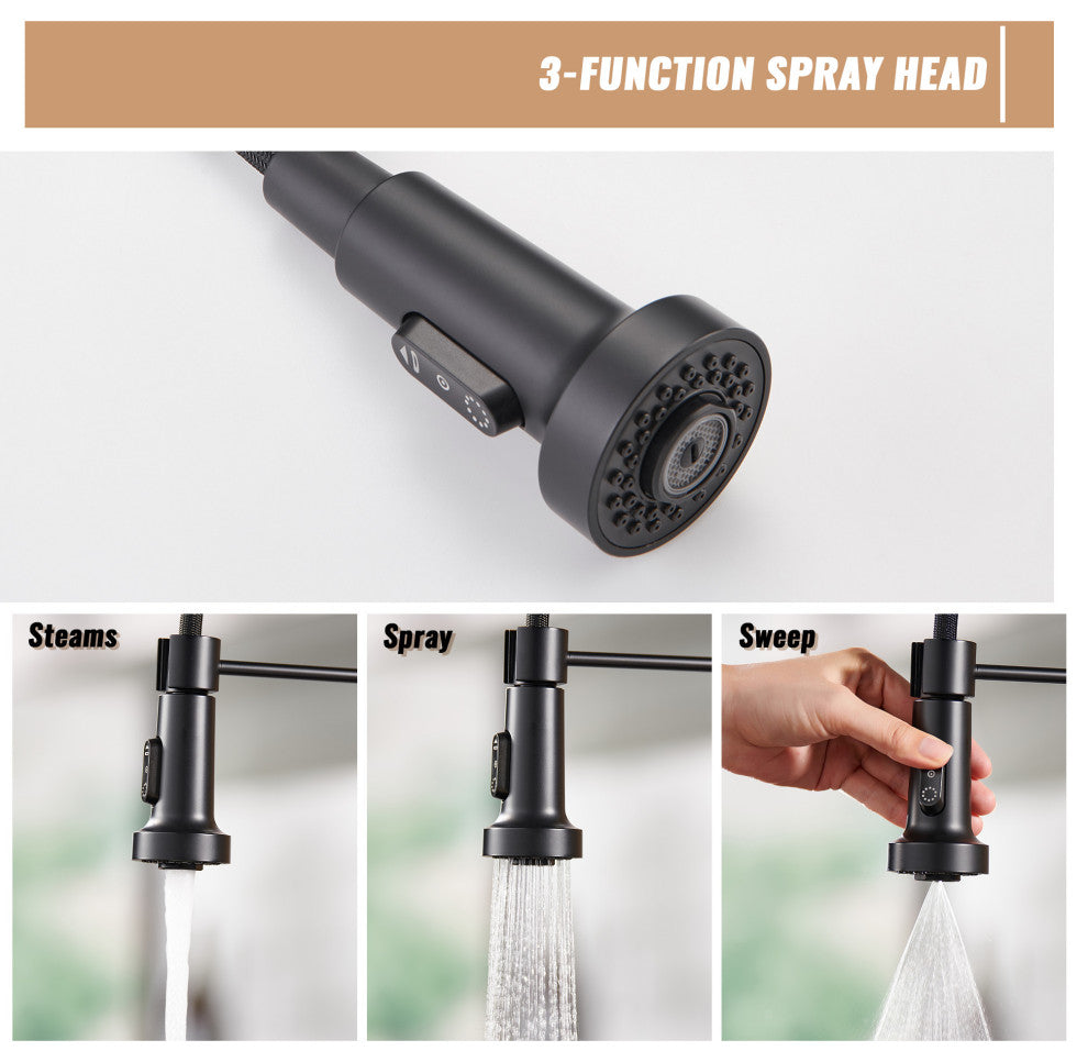 Single Handle Kitchen Faucet 1.8 GPM with Pull Down with Three Functions, Matte Black