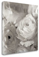 "Florison - 47" By Alan Blaustein, Giclee Print on Gallery Wrap Canvas
