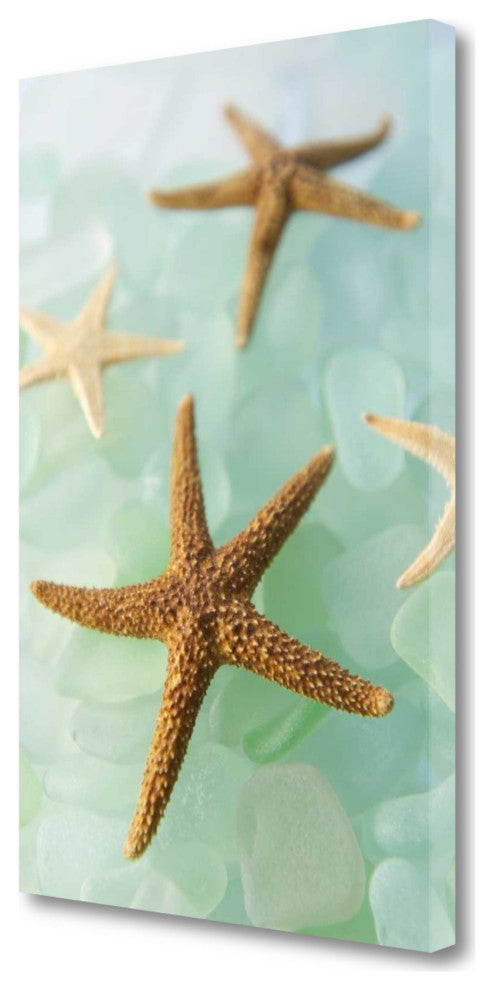30" Seashell and Seaglass Giclee Wrap Canvas Wall Art