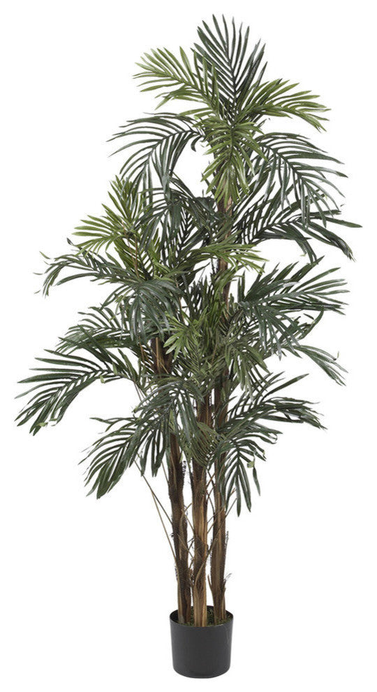 5' Robellini Palm Silk Tree