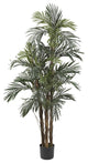 5' Robellini Palm Silk Tree