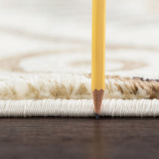 Giselle Transitional Floral Area Rug, Ivory, 7'10'' Round