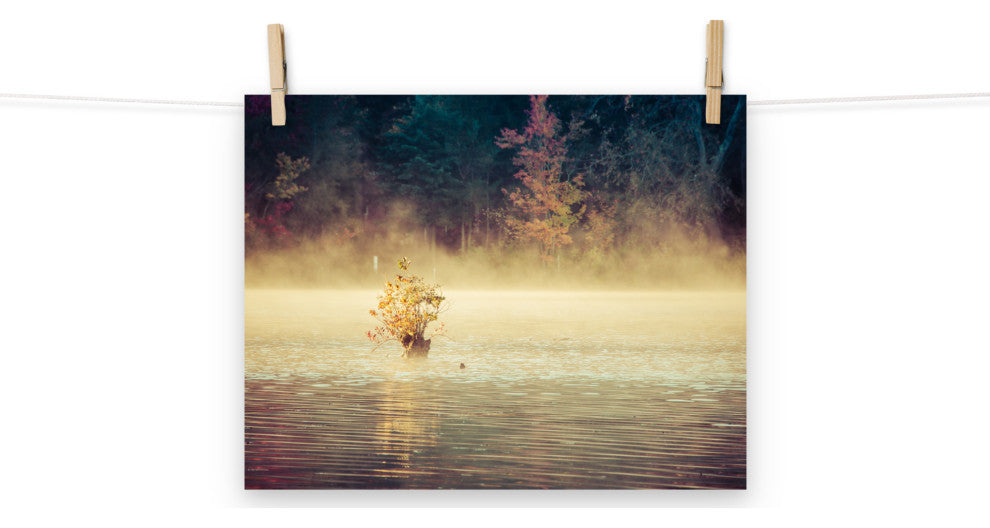 Golden Mist on Waples Pond Landscape Photo Unframed Wall Art Print, 11" X 14"