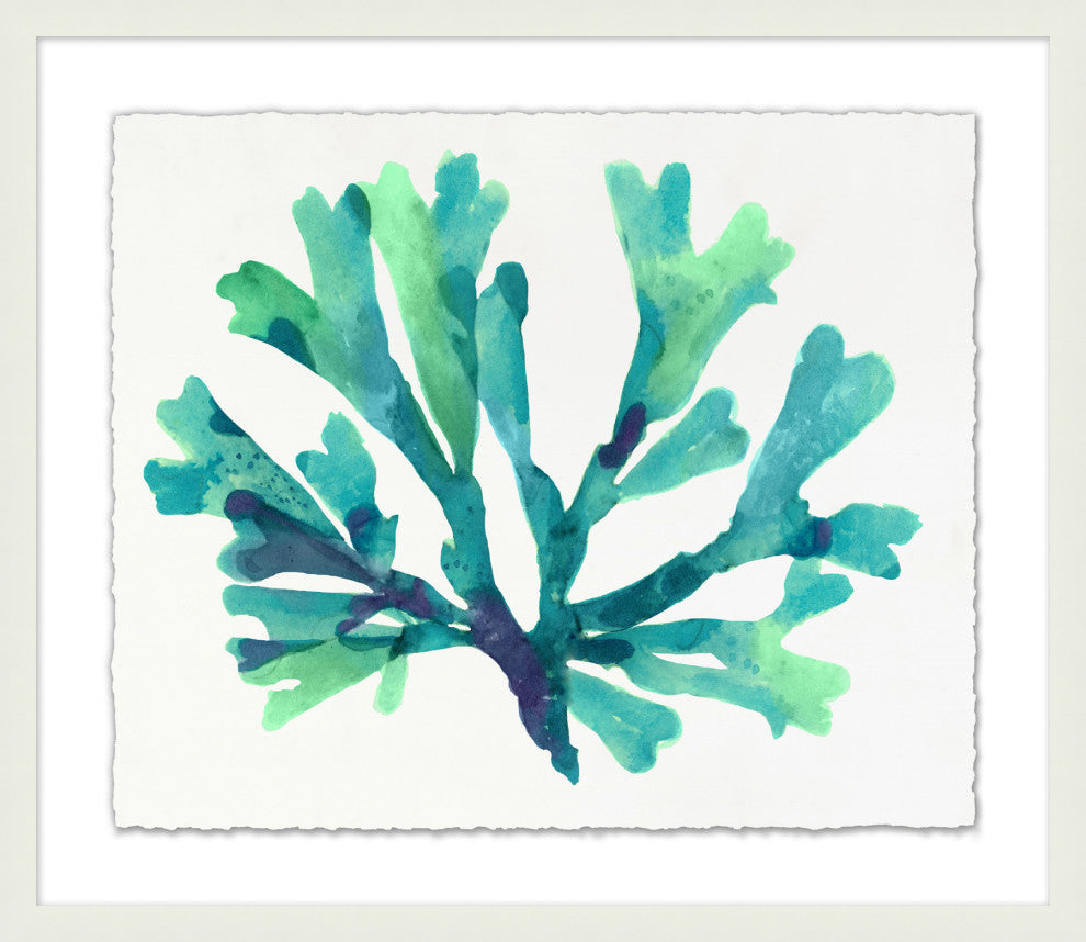 Transparaent Sea Life 3, Giclee Reproduction Artwork