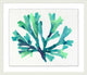 Transparaent Sea Life 3, Giclee Reproduction Artwork